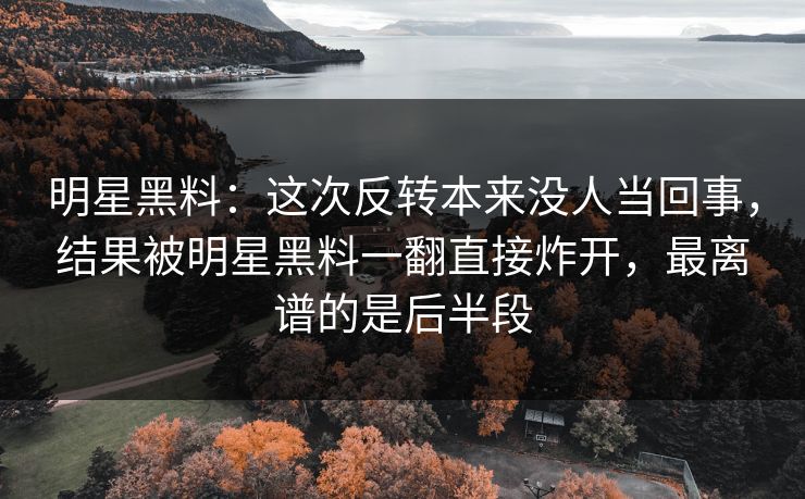 明星黑料：这次反转本来没人当回事，结果被明星黑料一翻直接炸开，最离谱的是后半段