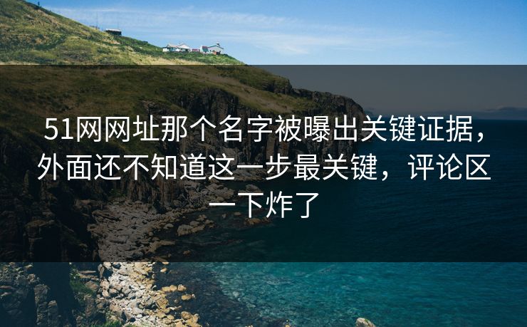 51网网址那个名字被曝出关键证据，外面还不知道这一步最关键，评论区一下炸了